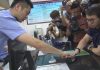 中国の居住証発行、台湾の反応は?